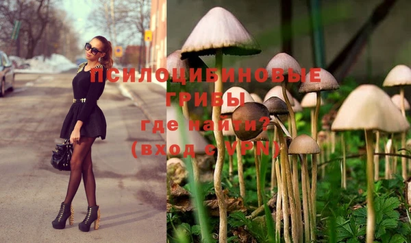 мдма Краснослободск