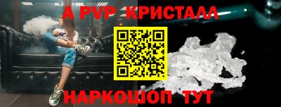 spice Кингисепп