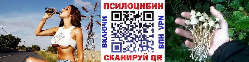 Галлюциногенные грибы Psilocybe  купить закладку  Конаково 