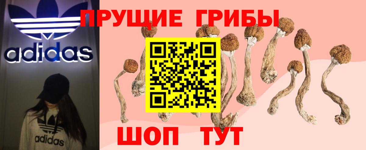 Галлюциногенные грибы GOLDEN TEACHER  Вход с VPN  Конаково 